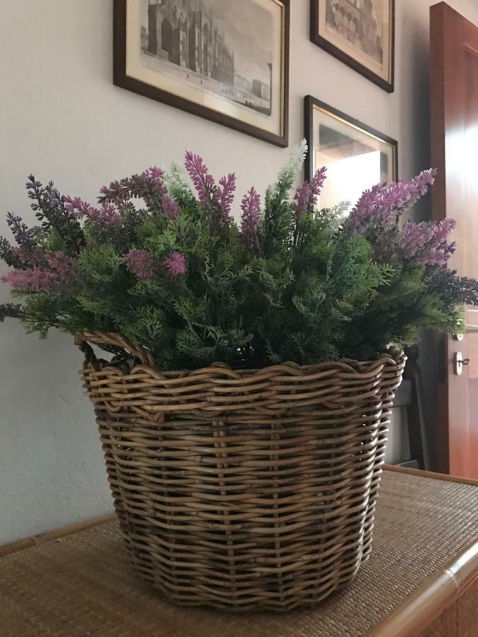 Apartmán Campo Al Cerro Bolgheri Exteriér fotografie