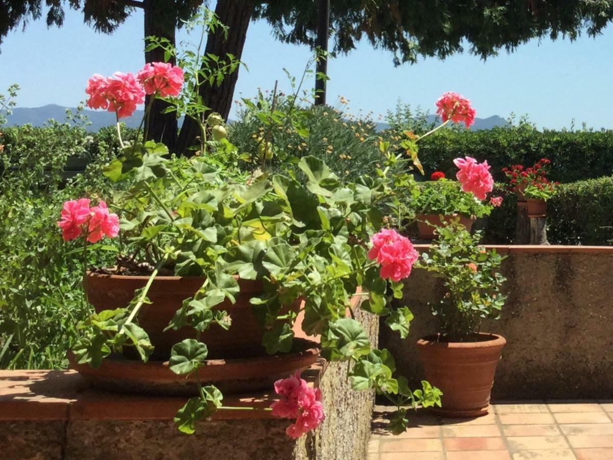 Apartmán Campo Al Cerro Bolgheri Exteriér fotografie